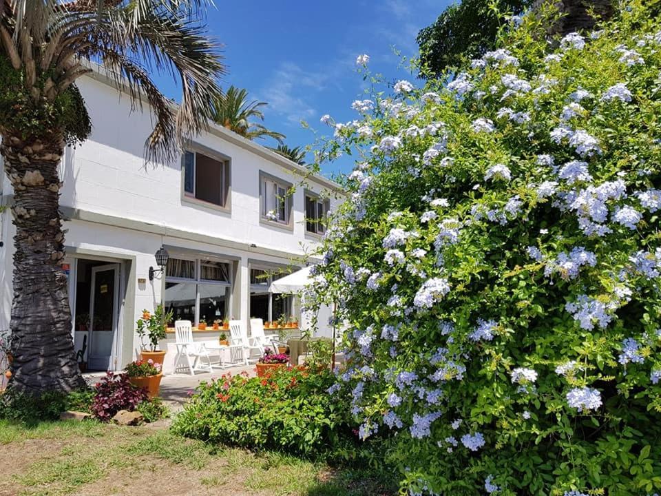 Hotel Puerto Las Palmas Punta del Este Exterior photo
